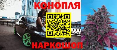 мяу мяу мука Коломна