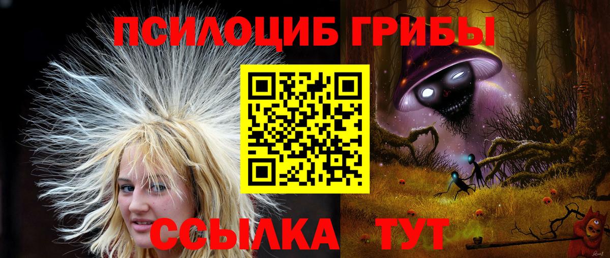 Галлюциногенные грибы мицелий  Вход с VPN  наркота  Галлюциногенные грибы мухоморы  Менделеевск 