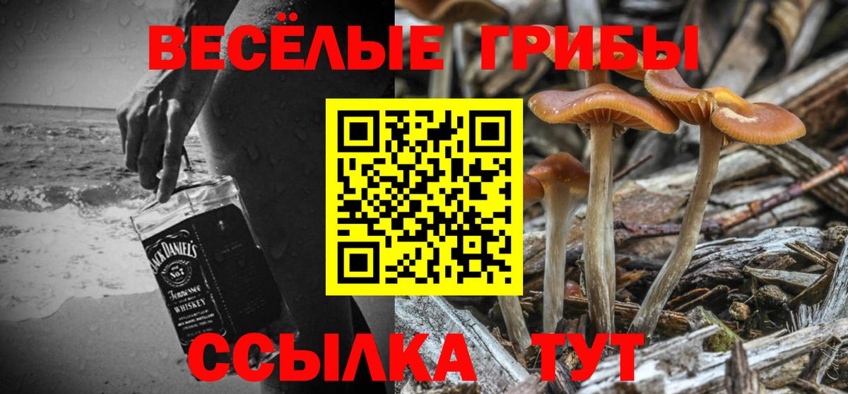 Псилоцибиновые грибы Cubensis Менделеевск